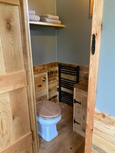 a bathroom with a blue toilet in a room at The Hive Shepherds hut in Offton