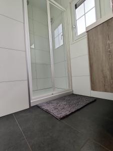een badkamer met een douche en een glazen deur bij Bospark Wolfsven - BPW 1583 in Mierlo