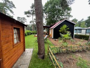 a cabin in a yard with a tree at Bospark Wolfsven - BPW 1583 in Mierlo