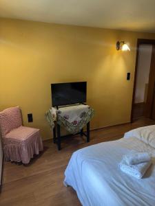 1 dormitorio con 1 cama, 1 silla y TV de pantalla plana en Arktouros Hotel, en Monodendri