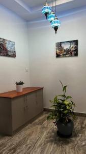 a room with a desk and a potted plant at Hosted by Resmi Jayalal in Cochin