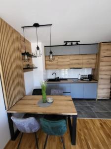 uma cozinha com uma mesa de madeira e 2 cadeiras em Apartman Adam Divčibare em Divčibare