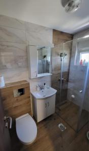 uma casa de banho com um WC, um chuveiro e um lavatório. em Apartman Adam Divčibare em Divčibare