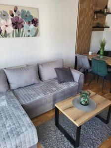 Oleskelutila majoituspaikassa Apartman Adam Divčibare