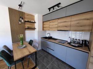 Majoituspaikan Apartman Adam Divčibare keittiö tai keittotila