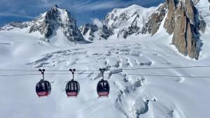 Fotografia z galérie ubytovania Breverly Hills v destinácii Chamonix-Mont-Blanc