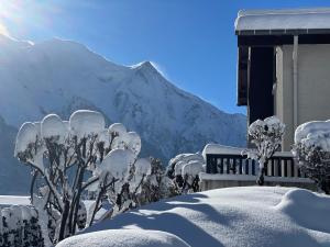Fotografia z galérie ubytovania Breverly Hills v destinácii Chamonix-Mont-Blanc