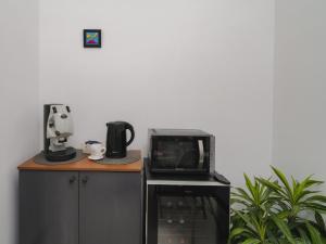 um micro-ondas e comodidades para preparar café num balcão em Da Sara em Pozzuoli