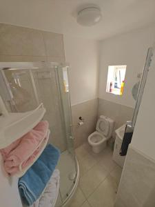 a bathroom with a shower and a toilet at Stunning 4 bed House Ideal for Contractors in Southampton