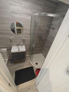 a small bathroom with a shower and a sink at Stunning 4 bed House Ideal for Contractors in Southampton