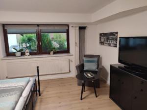 TV a/nebo společenská místnost v ubytování Gästewohnung Mühlstein