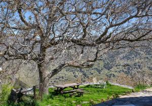 einen Picknicktisch unter einem Baum neben einem Zaun in der Unterkunft La Casa del Nogal in Güéjar-Sierra