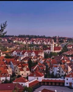 a view of a town with houses and roofs at Maison Jad in Ifrane +6 photos