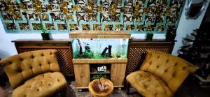 ein Zimmer mit einem Aquarium und zwei Stühlen in der Unterkunft WİND HOTEL in Sakarya