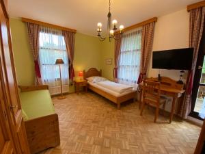 a bedroom with a bed and a desk and a tv at Steinschalerhof in Warth