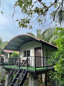 Zahrada ubytování Khaosok River Camp