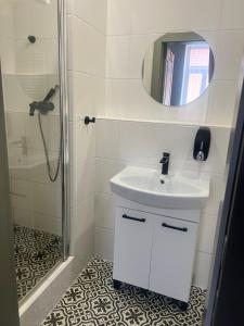 een badkamer met een wastafel en een douche met een spiegel bij Penzion Lederer in Dolní Dunajovice