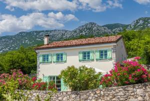 a house with green windows and flowers in front of mountains at Villa Tribalj in Tribalj