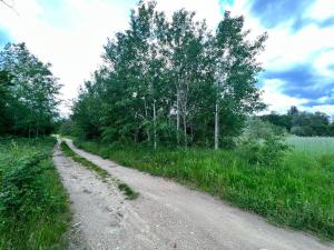 un camino de tierra con árboles al lado de un campo en Къмпинг Частен Двор en Kazanlŭk