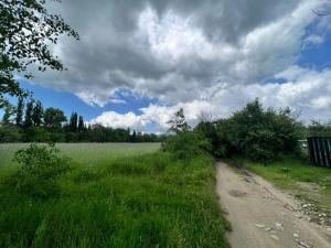 a dirt road in the middle of a field at Къмпинг Частен Двор in Kazanlŭk