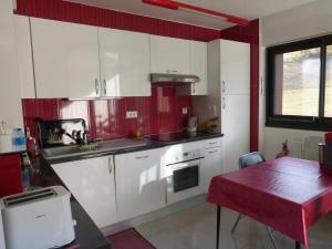 A cozinha ou cozinha compacta de CBU Standing T4