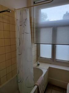 a bathroom with a shower curtain and a tub and a window at City Home Zurich in Zurich