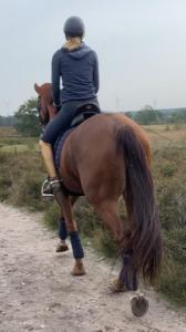 Una mujer montando un caballo por un camino de tierra en Vakantiewoning 'De Teut', en Zonhoven