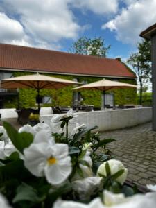 a group of white flowers in front of a building at De Verborgen Parel in Borgloon