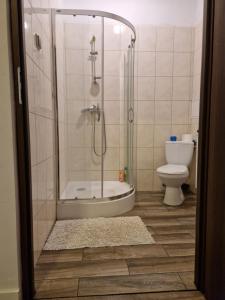 uma casa de banho com um chuveiro e um WC. em SAWAGO Mieszkania blisko centrum em Ciechanów