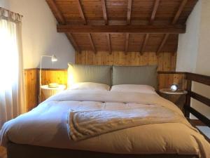 a bedroom with a large bed with a wooden ceiling at Casa Emy in Adrara San Rocco