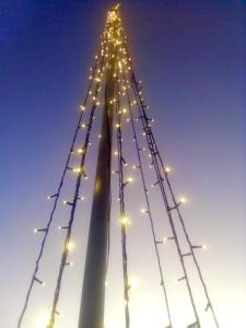 een grote kerstboom met lichten erop bij MANGROVE BEACH in Sanyang