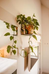 una planta en una olla en una pared junto a una cama en Boutiquehotel & Tiny houses PLEK17, en Milsbeek