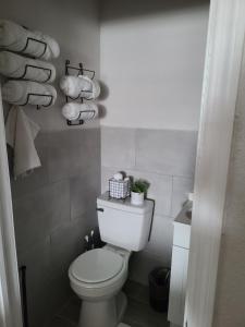 a bathroom with a white toilet in a room at Modern Studio Retreat with King Bed - Cozy Comfort in Pahokee +2 photos