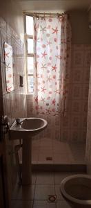 baño con ducha con lavabo y ventana en Hotel el LUCERO, en Oruro