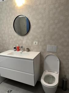 La salle de bains est pourvue d'un lavabo, de toilettes et d'un miroir. dans l'établissement City Center Accommodation - 308, à Reşiţa