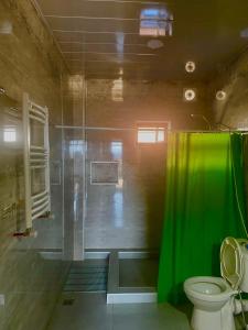 uma casa de banho com uma cortina de chuveiro verde e um WC. em апартаменты em Tbilisi