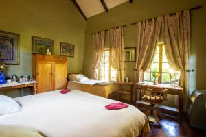 een slaapkamer met 2 bedden en 2 ramen bij Paardeplaats Nature Retreat in Rhenosterhoek