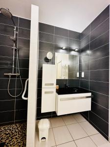 昂布瓦兹的住宿－Bel appartement proche château，一间带水槽和镜子的浴室