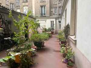 Une allée avec des plantes en pot sur le côté d'un bâtiment dans l'établissement Charmant studio fonctionnel, à Paris