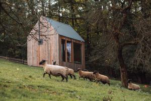 Tiere im Chalet oder in der Nähe