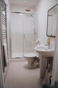 a bathroom with a shower and a toilet and a sink at The Fox and Hounds in Banc-y-felin +65 photos