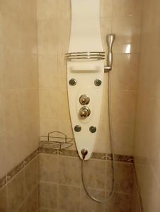 a shower with a hose in a bathroom at Penzion Jáchymov Pod Lanovkou in Jáchymov