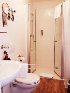 a bathroom with a shower and a toilet and a sink at Schubart Apartments in Bietigheim-Bissingen