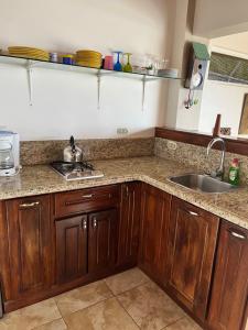 a kitchen with wooden cabinets and a sink at Ballena Bay Villa Lot 45 Villa del Mar in Tambor