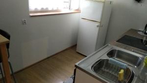Η κουζίνα ή μικρή κουζίνα στο FEIDUM quarters flat +7 φωτογραφίες