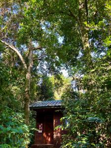 una pequeña cabaña de madera en medio de árboles en Rainforest Hotel & Cabañas en Puerto Iguazú