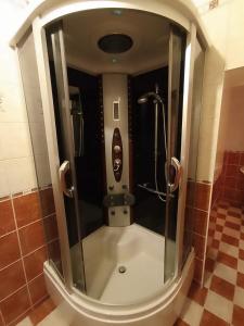 y baño con ducha y puerta de cristal. en Penzion Jáchymov Pod Lanovkou, en Jáchymov