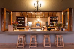 - un bar avec tabourets à un comptoir dans une pièce dans l'établissement Sausage Tree Safari Camp, à Réserve de Balule