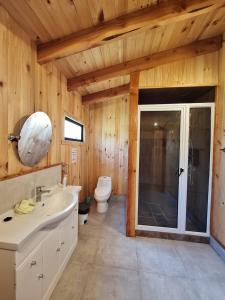 a bathroom with a toilet and a sink and a mirror at Cabañas piedra Alta, Huilo Huilo in Panguipulli +83 photos
