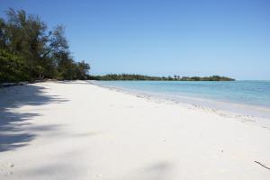 una playa blanca con árboles y agua en Pemba Eco Lodge, en Kengeja